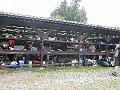 2007-08-10-Carl